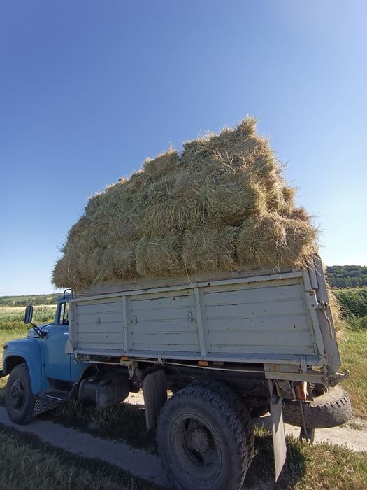 Продам сіно лугове в тюках
