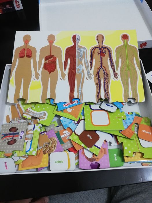 À descoberta do corpo humano