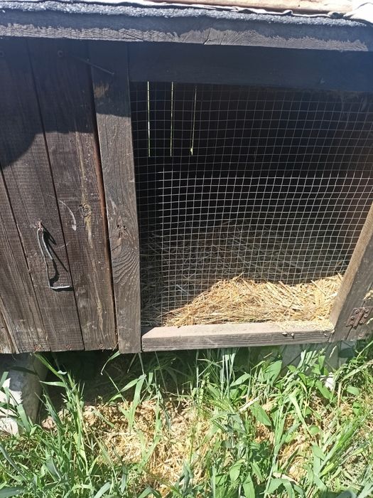 Sprzedam klatki do królików