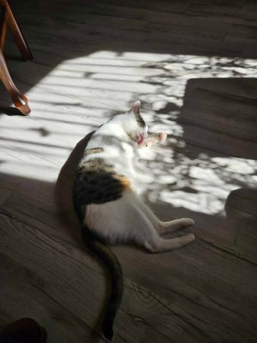 Czy ktoś zakocha się w tych pięknych oczkach?..