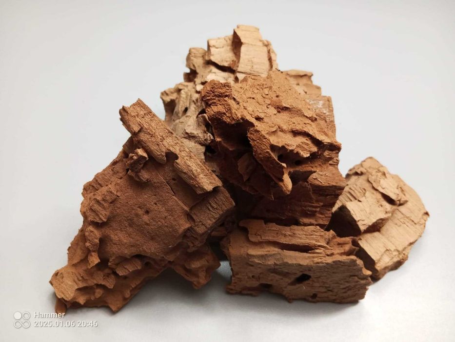 Próchno wierzbowe do odymiania pszczół, suche dobrej jakości