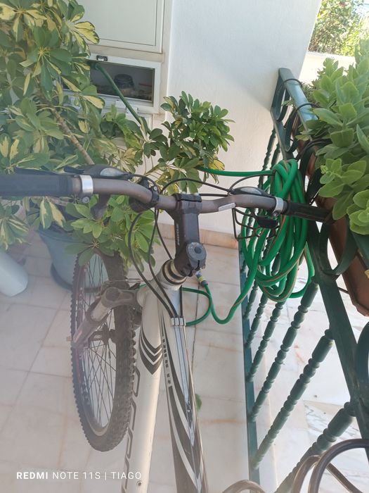 Bicicleta usada adulto