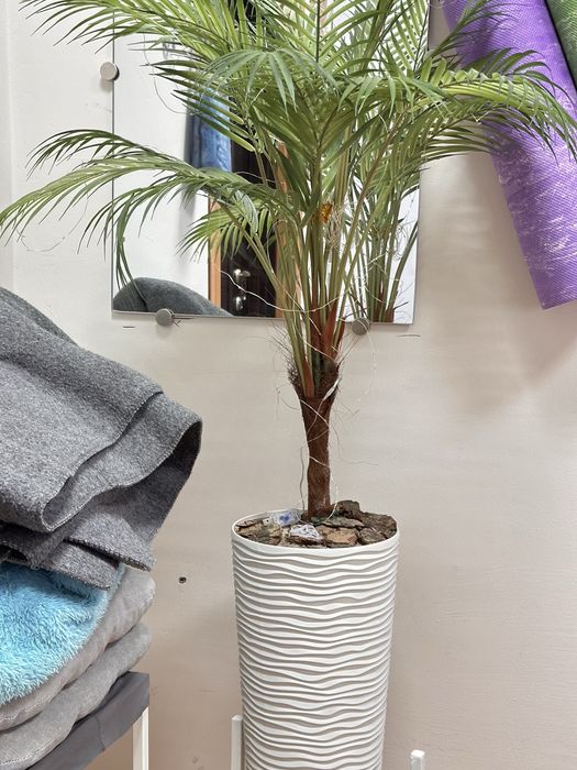 Пальма искусственная в горшке двойная, новая