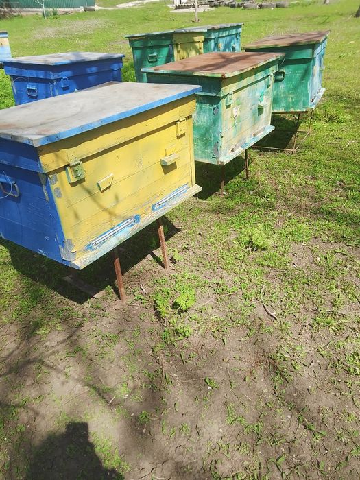 Продам вулики в гарному стані.