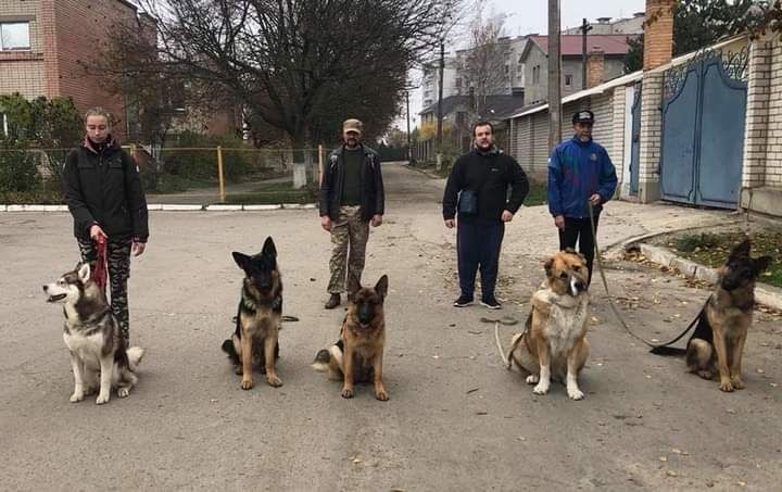 Дрессировка собак ,кинолог первомайск