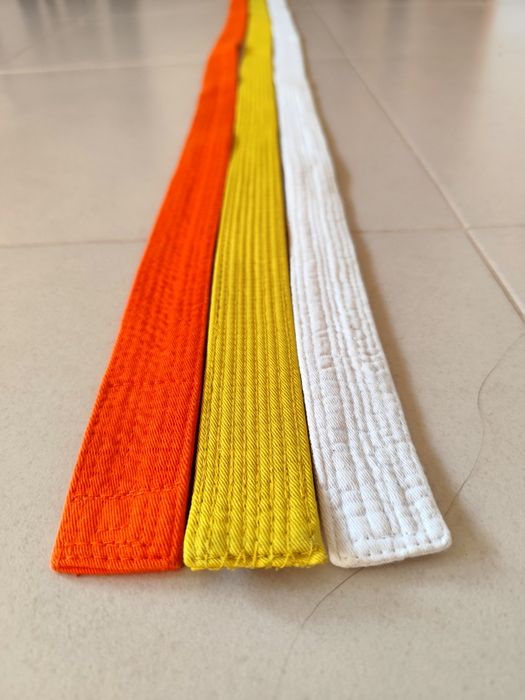 Lote de 3 cintos de Artes Marciais (Karate)