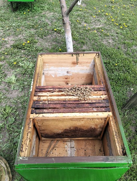 Продам вулики для бджіл