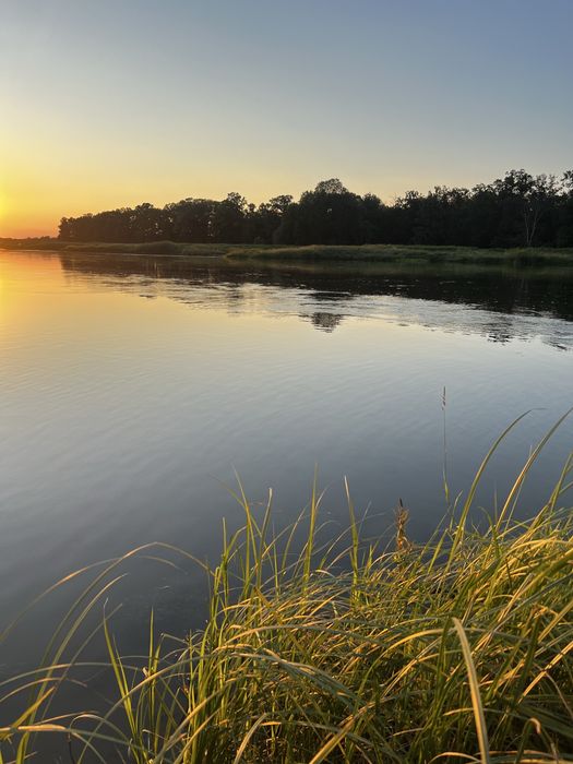 Działka budowlana pod lasem z całorocznym domkiem letniskowym