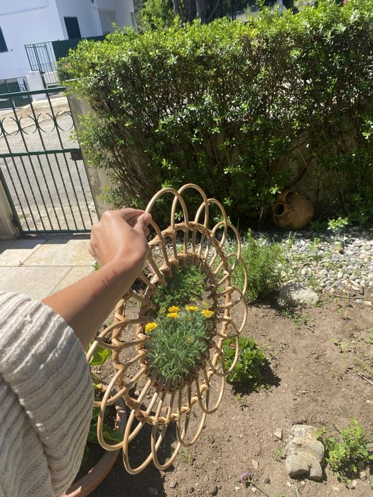 Espelho Boho de madeira Novo - M