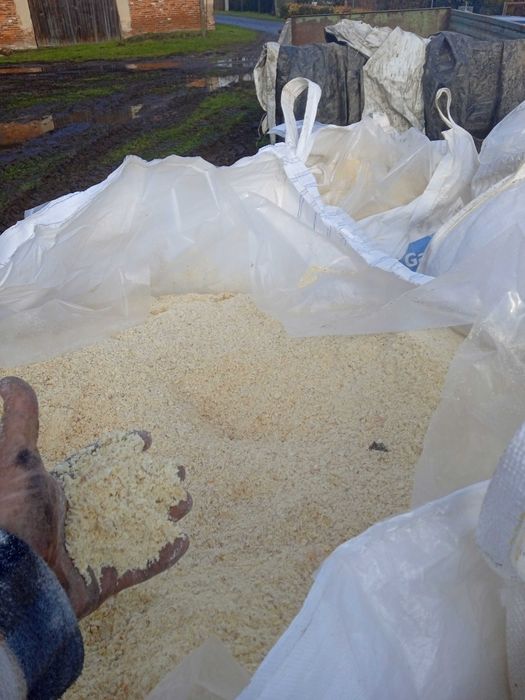 Kukurydza śrutowana