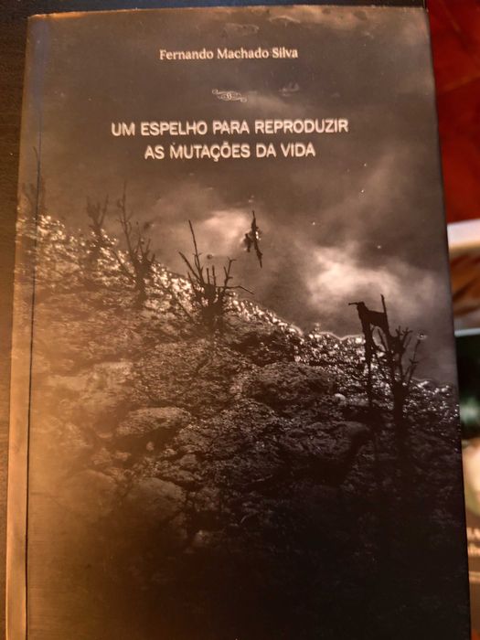 Fernando Machado Silva, Um Espelho para Reproduzir as Mutações da Vida