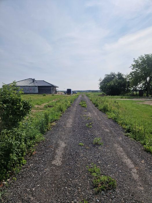 Działki budowlane w msc. Kolonia Zamek obok Janowa Lubelskiego - Widok 2
