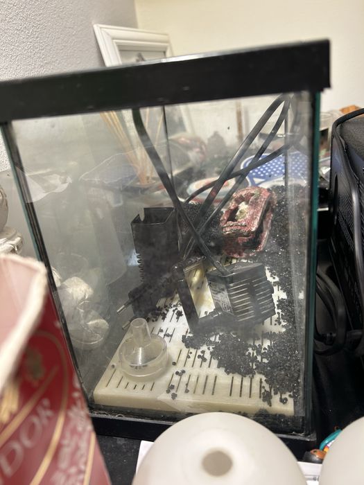 Aquario peixes agua fria