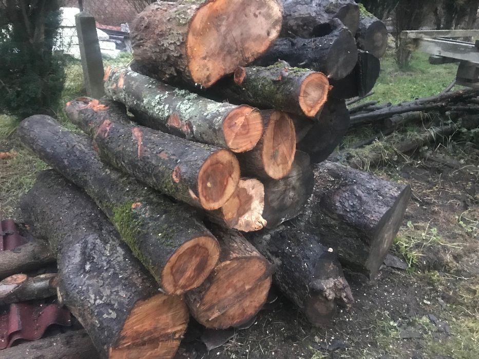 Drewno Jabłoń, Sliwa - dobre do wędzenia.