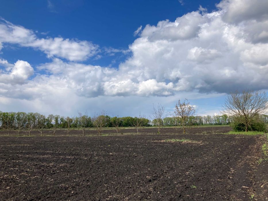 Продам земельну ділянку під комерцію біля складів Нової Пошти, Вінниця