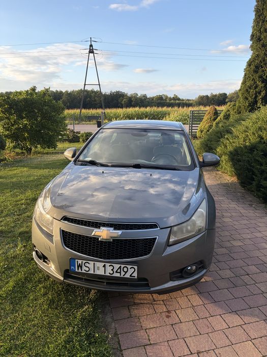 Chevrolet Cruze polecam