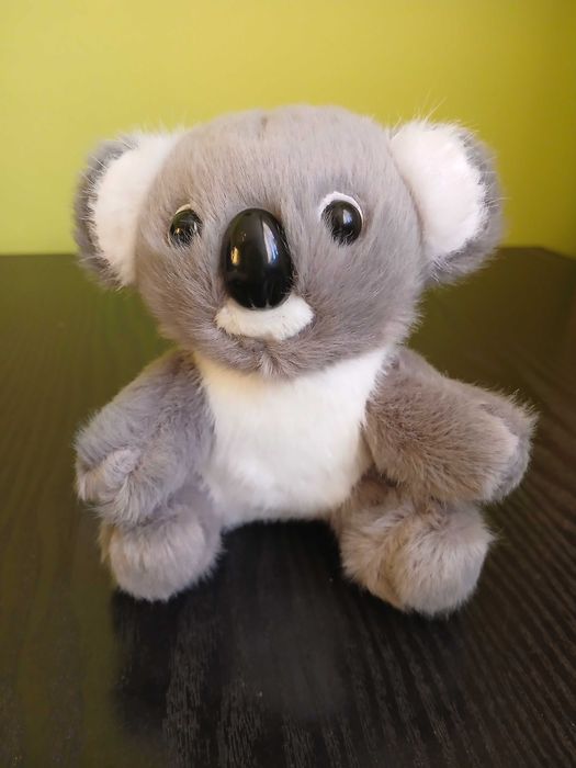 Miękka pluszowa zabawka, maskotka koala