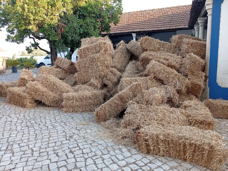 Vendo fardos de palha e feno