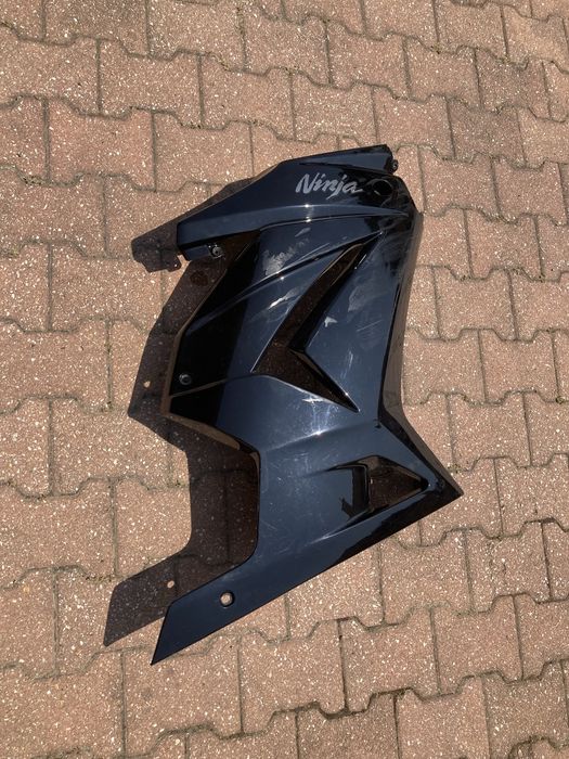 Carnagem Kawasaki Ninja