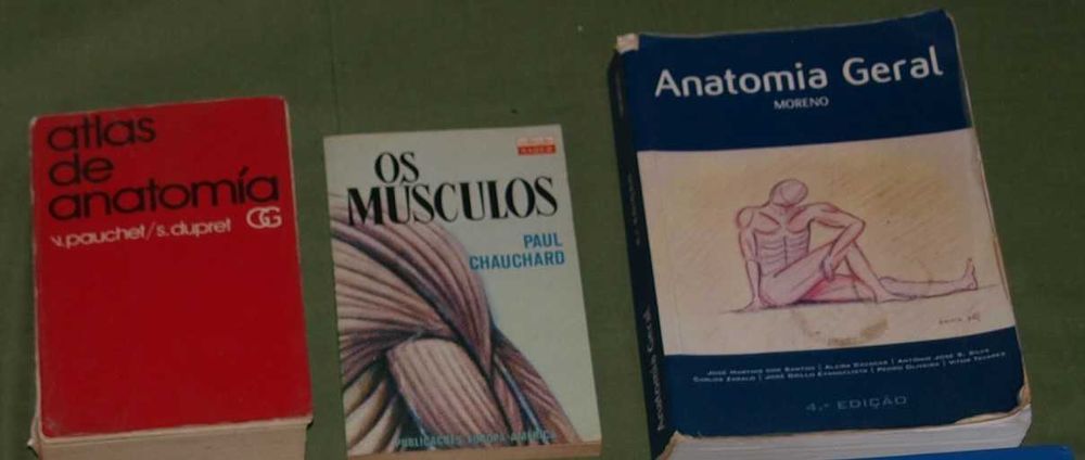 Fisioterapia na Ortopedia e Medicina do Esporte