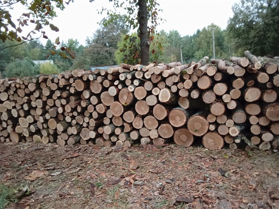 Продам дрова різних порід з доставкою деталі за телефоном