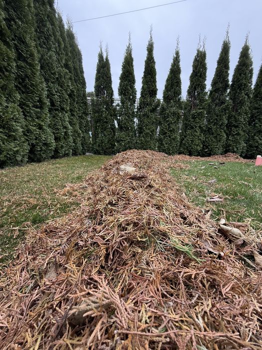 Pielegnacja ogrodów