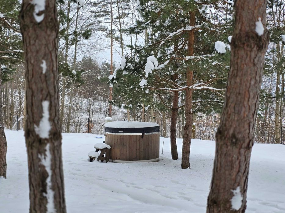 Dom z prywatną balią i widokiem na las Beskid Niski