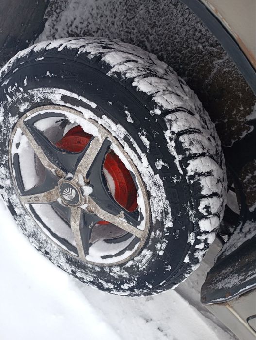 Продам або обміняю сенса