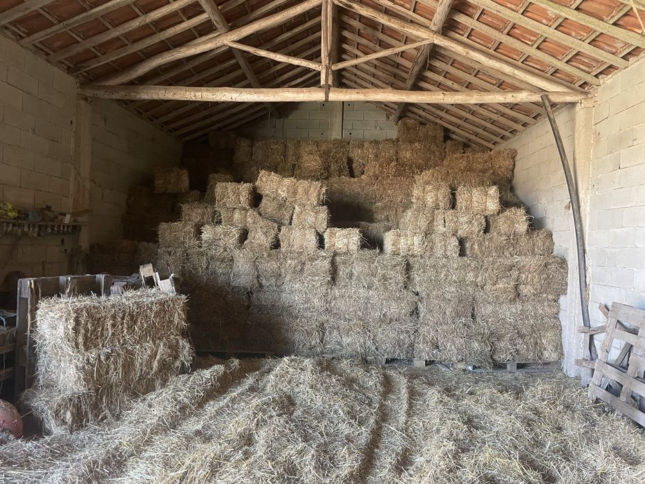 Vendo fardos de palha