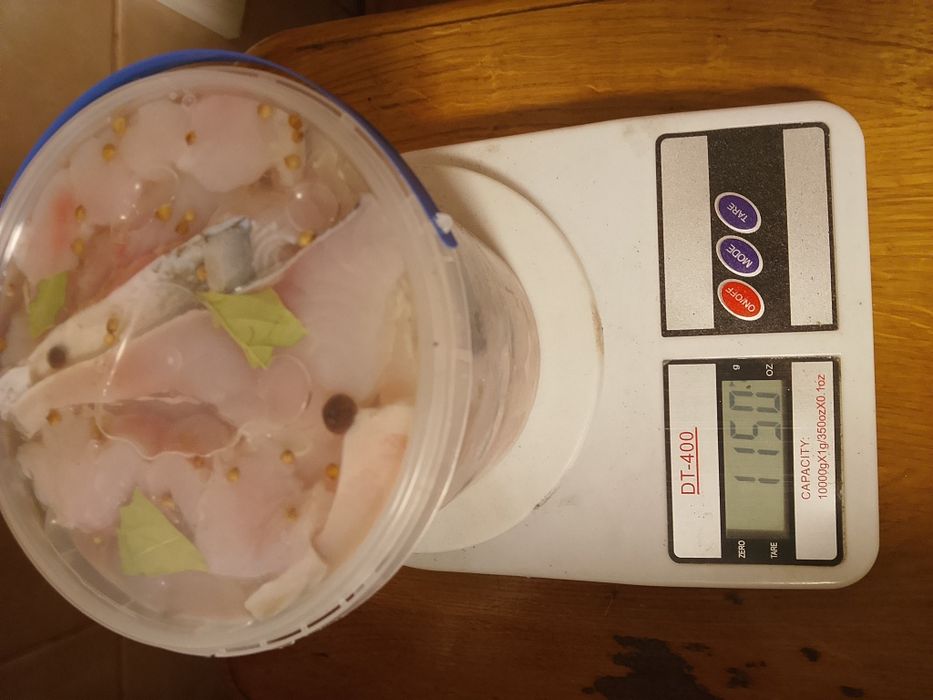 Оселедець з толстолоба домашній...