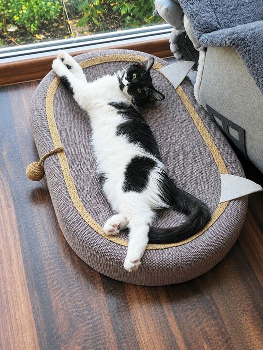 Хлопчик і дівчинка, 4,5 міс.