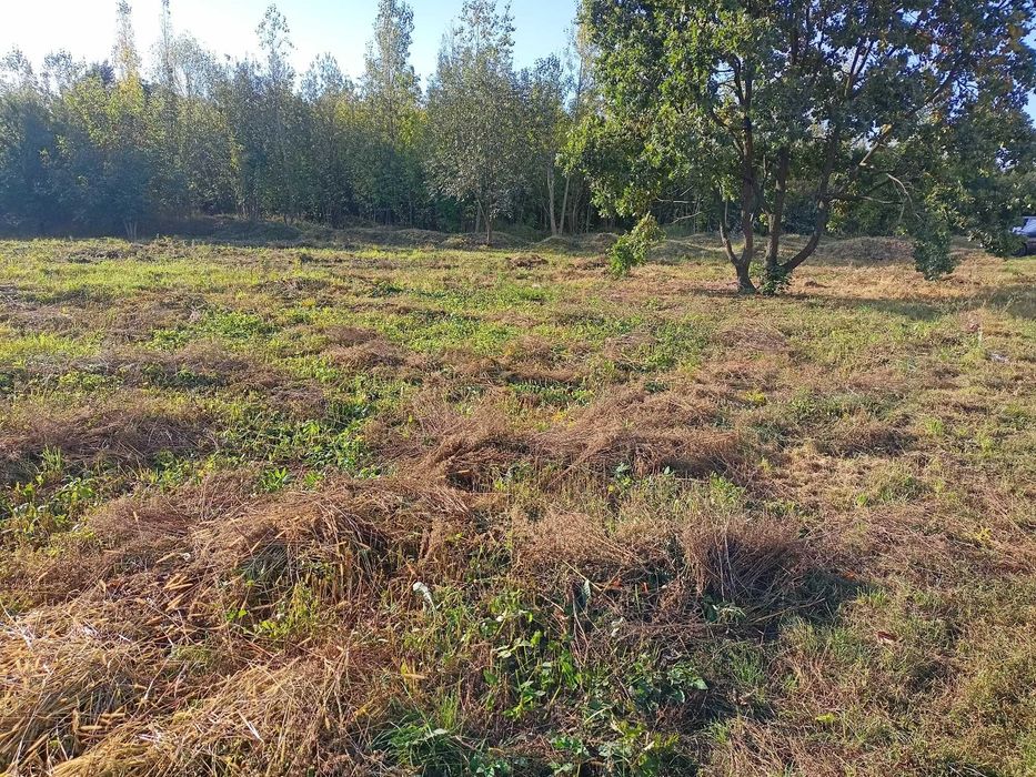 sprzedam działkę usługową - Widok 4