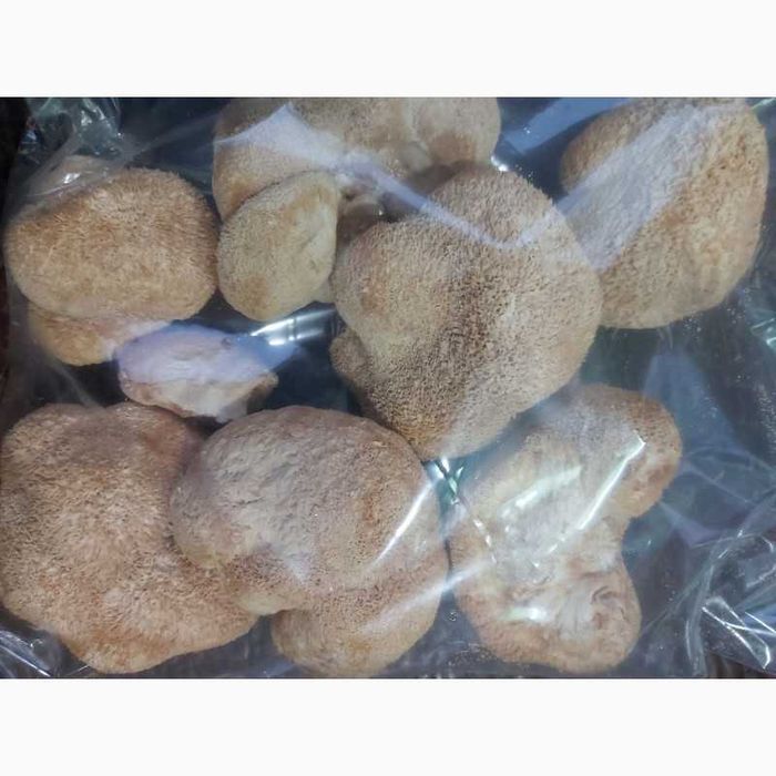 Ежовик гребенчатий. Геріций ( власне виробництво) 100грам -400грн