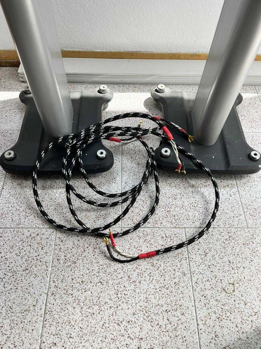 Colunas Monitor Audio GS10 + Suportes