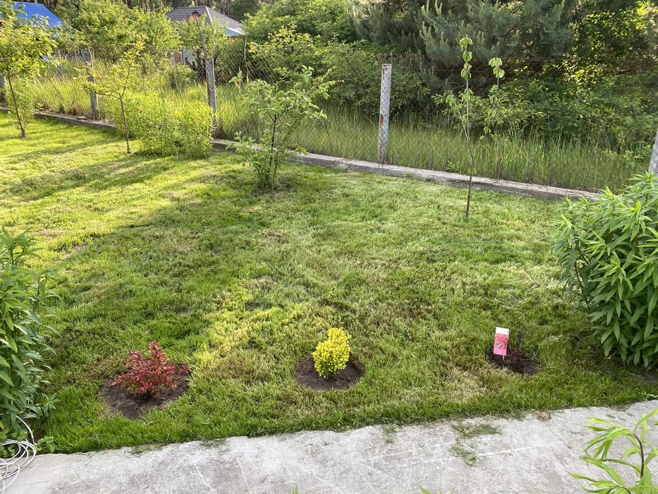 Продам будинок із дикого зрубу з ділянкою біля Києва! село Бзів