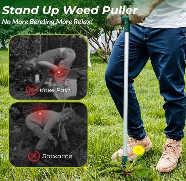 Wyrywacz chwastów Walensee 100 cm stal nierdzewna 3 szczęki