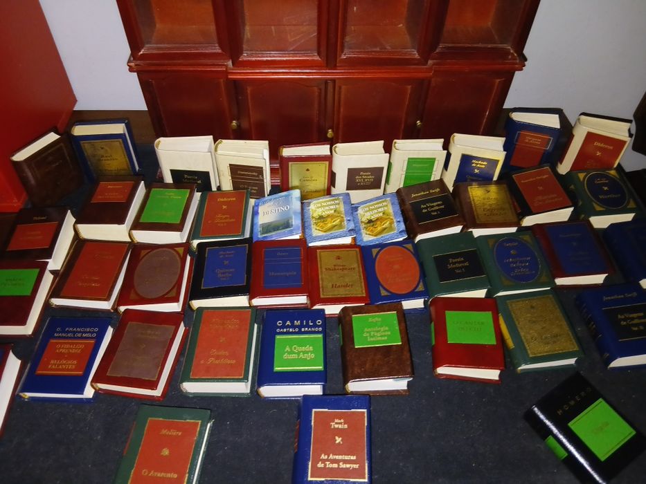 Ibiloteca com 50 livro minitura e movel