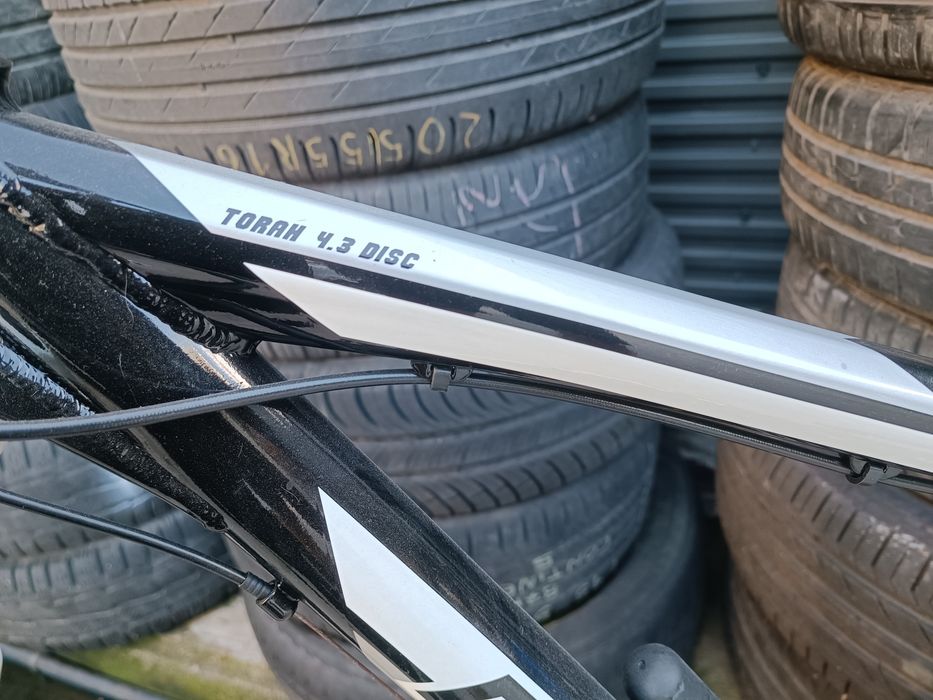 Berg Torah 4.3 Disc