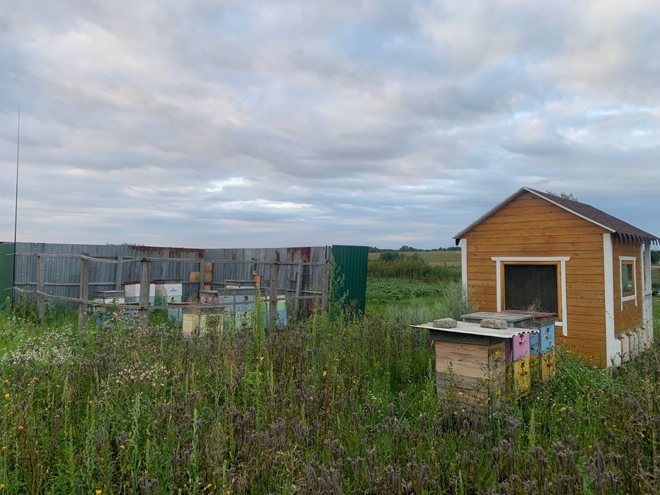 Апідомік та вулики з бджоло сімʼями