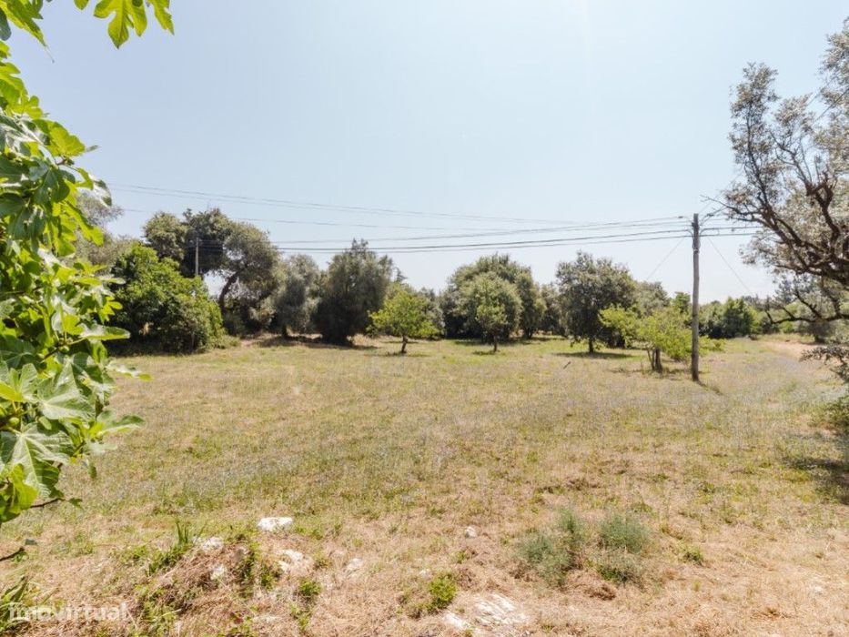 Terreno para construção em Vila Nova-Cantanhede