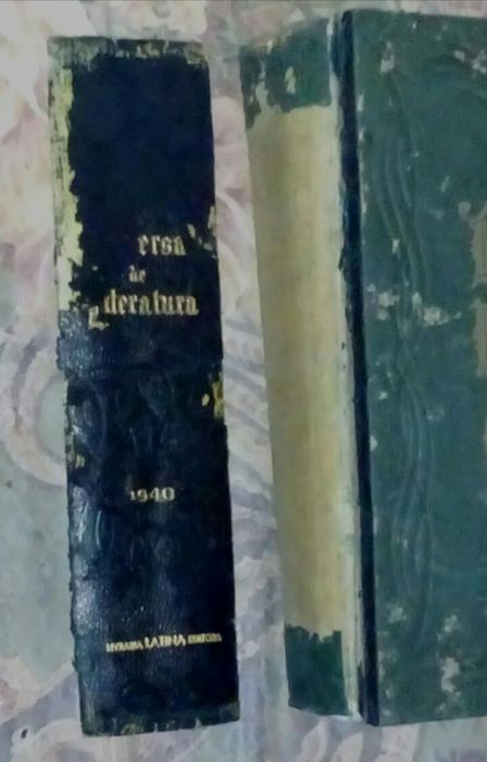 Dicionário universal de literatura 1940