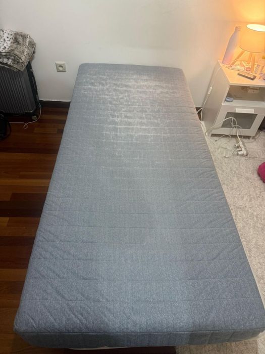 Base e colção por 50€