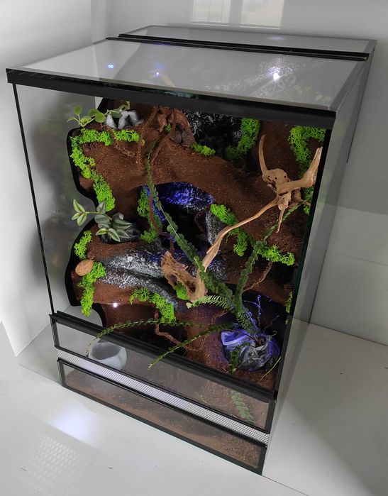 Terrarium dla gekona orzęsionego, TW44FO, AquaWaves