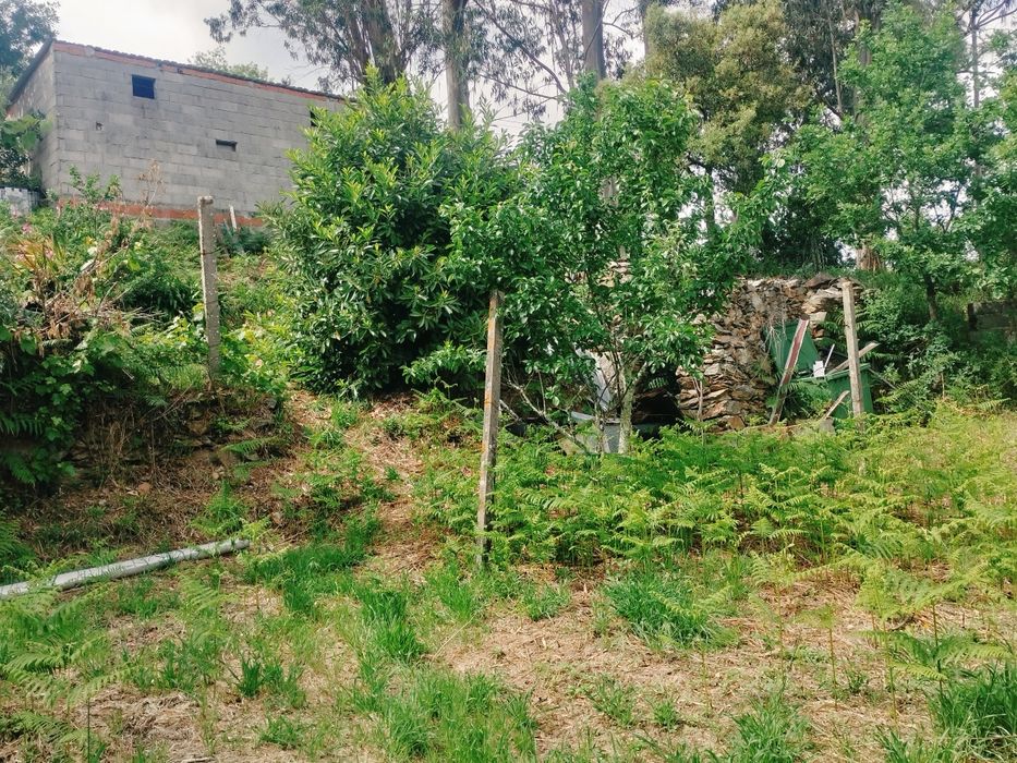 Vende-se Terreno de Cultivo com Currais para Animais – Aveleira - Penacova