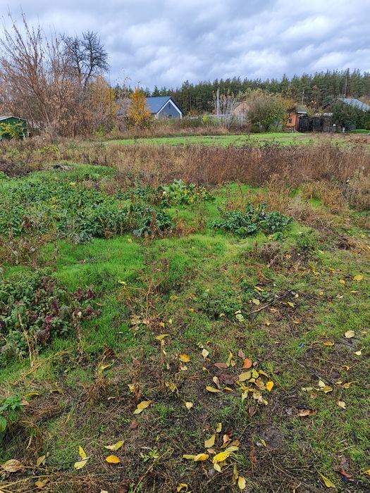 Продаж земельноі ділянки с Нещерів