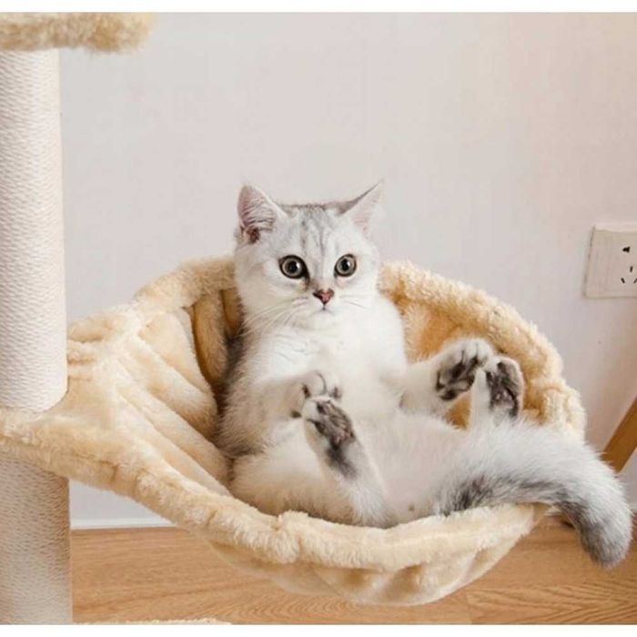 ⁉️ Ігрові комплекси для котиків ⁉️