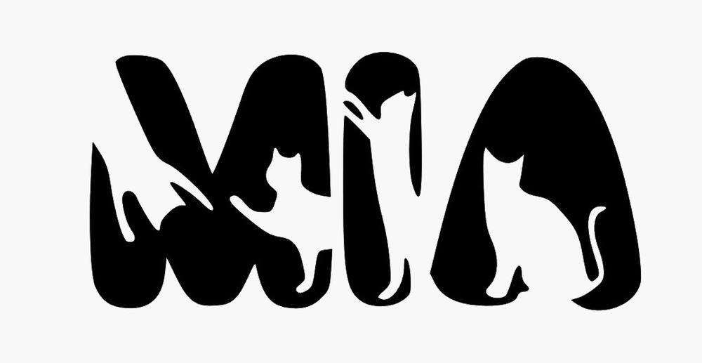 Conjunto de nome completo com letras de gatos