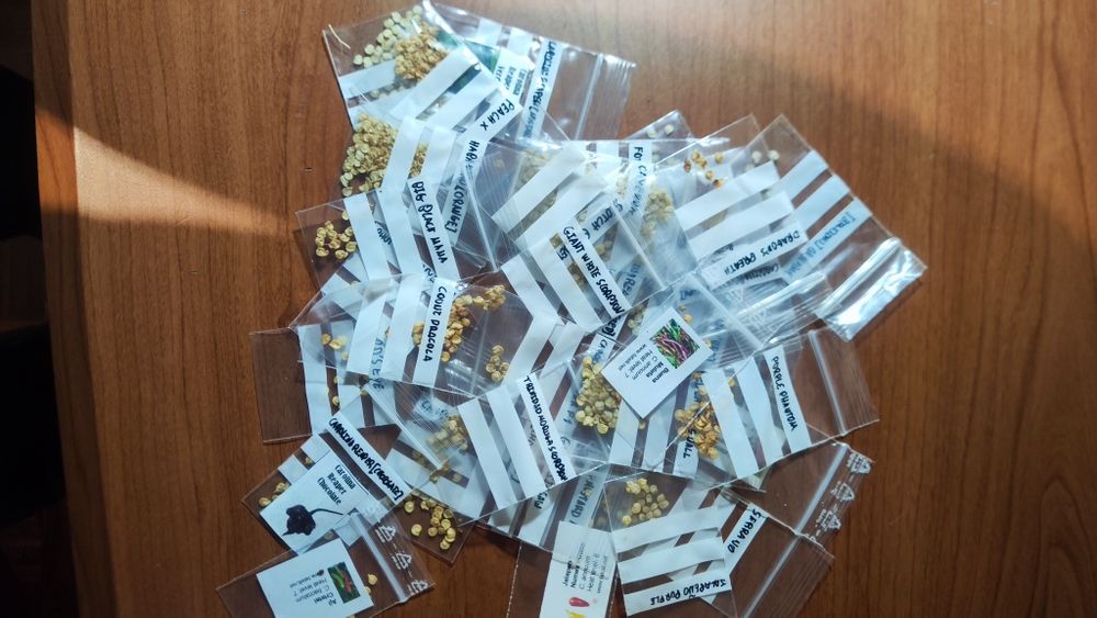 Pimentas atómicas (32 variadades)