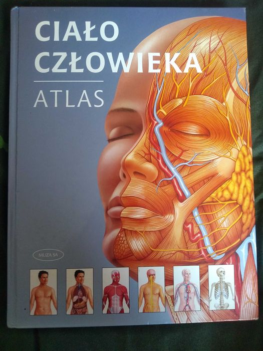 Ciało człowieka atlas