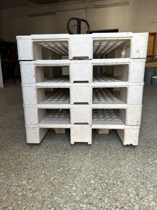 Euro palete de pastico Domplex,